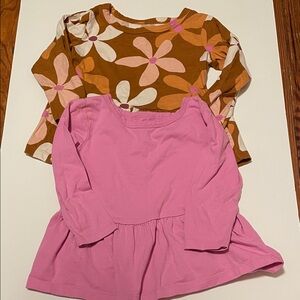 Little Star Organic Toddler Girl 3T Peplum Brown Floral & Pink Long Sleeve Tops